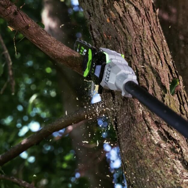 EGO PS1001 Battery Pole Saw